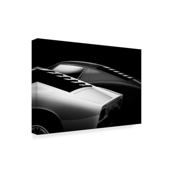 Holger Droste '2 Miura' Canvas Art,22x32